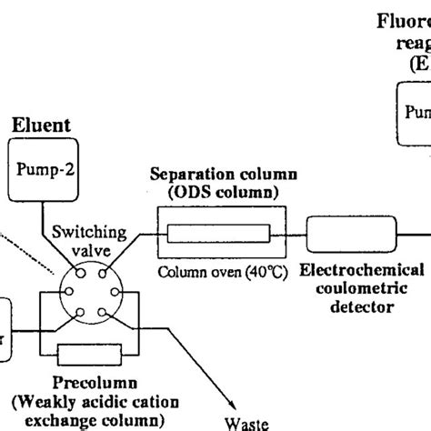 Block Diagram For The Column Switching Hplc System For The Automated