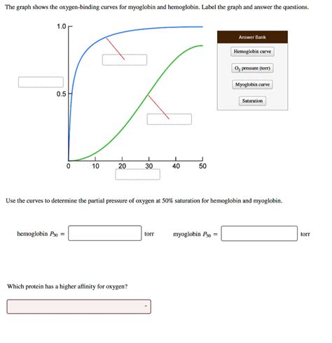 the graph shows the oxygen binding curves for myoglobin and hemoglobin ...