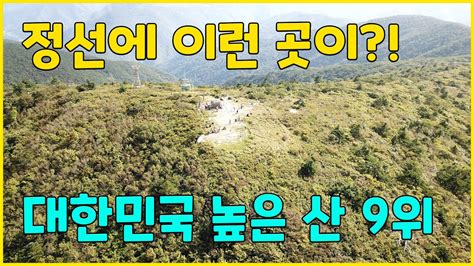 대한민국에서 가장 높은 산 9위 이끼계곡이 장관을 이루는 가리왕산│여름에 가면 좋은 산 신비한 원시림 속 깊은 계곡 100