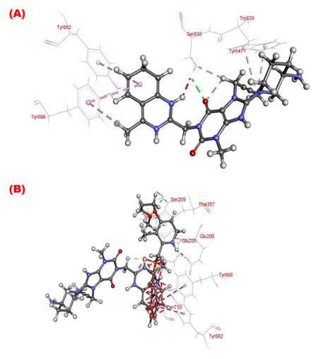 Molecular Docking Models 3d Of A Lg Dpp Iv B Lg Rs Dpp Iv C Download Scientific