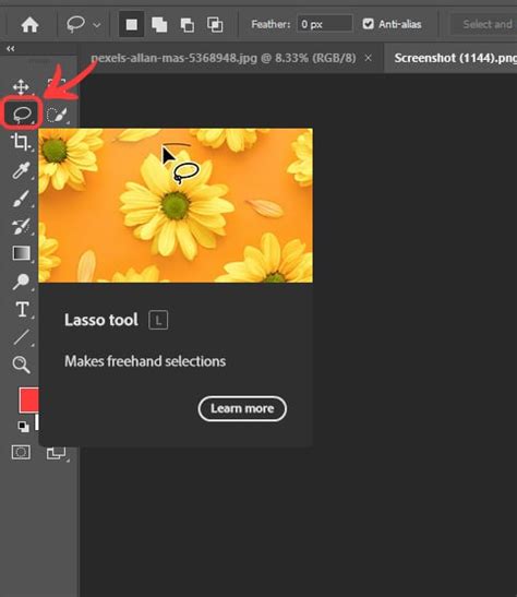 How To Use The Lasso Tool In Adobe Photoshop Bittbox