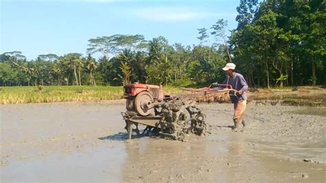 Kerja Keras Joki Traktor Quick Menggarap Lahan Pertanian Peroses