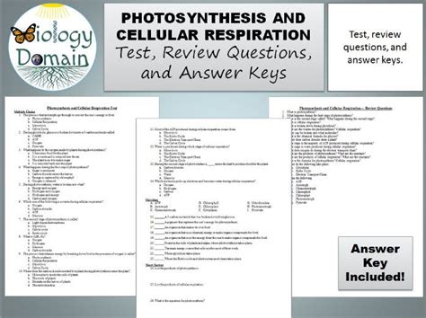 Photosynthesis And Cellular Respiration Test Review Questions And