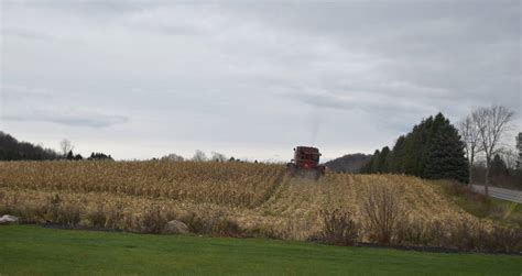 Late season corn harvest... by DDBdragon on DeviantArt