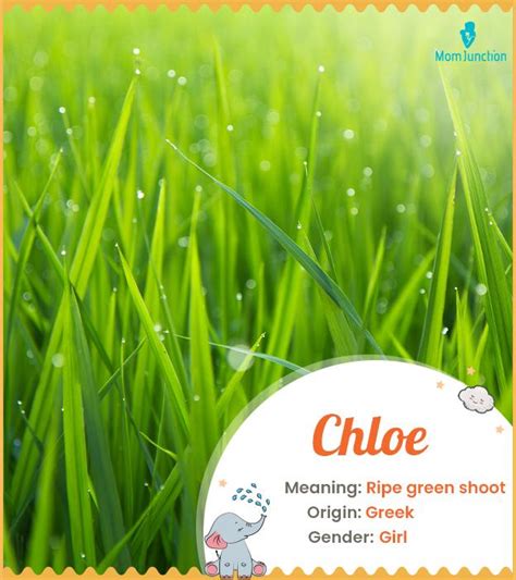 Chloe Name Meaning, Origin, History, And Popularity