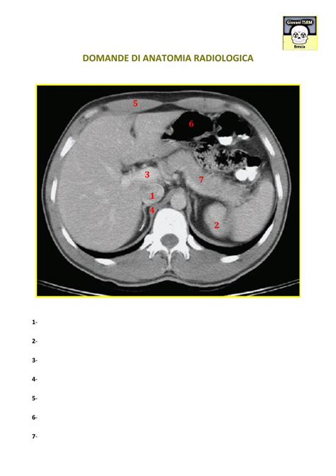 Pdf Anatomia Radiologica Domande Title Microsoft