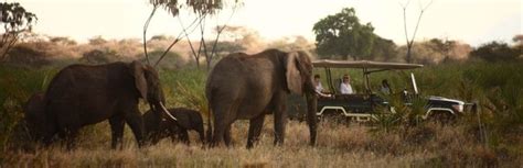 Elewana SkySafari - Kenya 10-Day Flying Safari - Chalo Africa