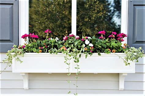 9 Diy Window Box Ideas For Your Home