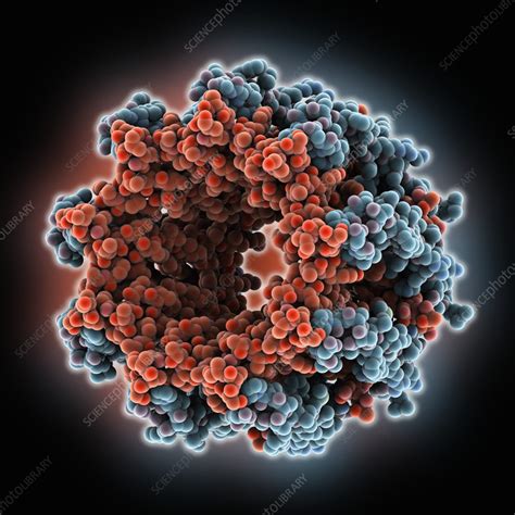 Light harvesting complex, molecular model - Stock Image - C056/9765 ...