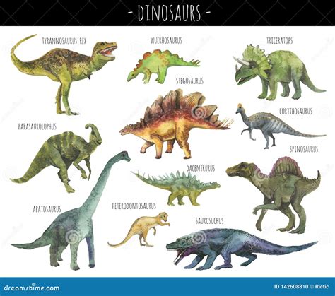 Realistic Dinosaurs Illustration Cartoon Vector