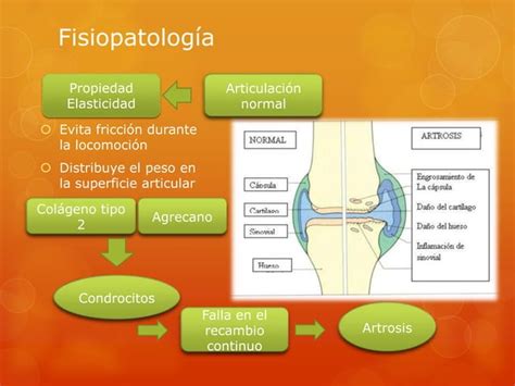 Artritis Y Artrosis Ppt