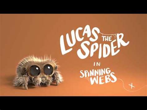 Lucas the Spider - Spinning Webs | Lucas the Spider | Know Your Meme