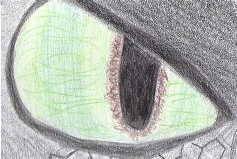 Night Fury Eye by shedragon10 on DeviantArt