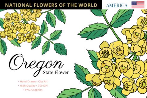 Oregon State Flower Graphic by Hanatist Studio · Creative Fabrica