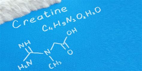 Should Vegetarians And Vegans Take Creatine Nutrition Advance