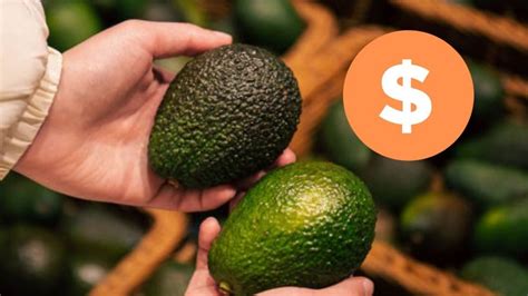 Se Dispara Precio Del Aguacate Esto Cuesta El Kilo En Mercados De