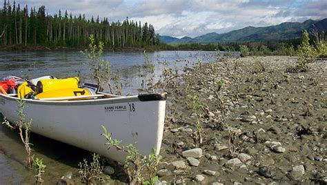 Teslin River Canoe Trip Wilderness Adventures