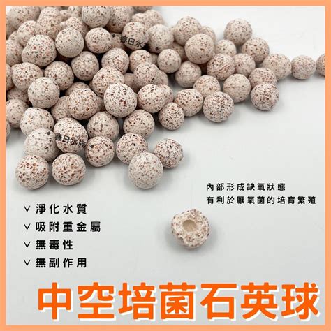 中空石英培菌球 100g 散裝 外掛濾材 過濾 培菌 多孔石英球 多孔石英球 春日水族商城