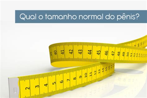 Afinal qual o tamanho normal do pênis Dr Paulo Esteves