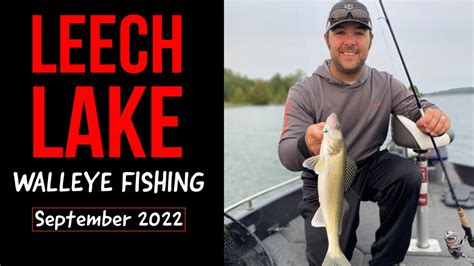 Leech Lake Fall Walleye Fishing Tactics Drop Shots Jigging And Cranks