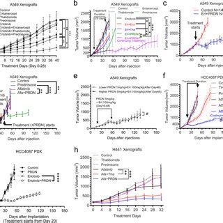 In Vivo Xenograft Models Show Highly Potent Suppression Of Tumor Growth