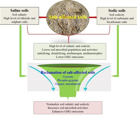 Sustainability Free Full Text Greenhouse Gas Emissions From Salt