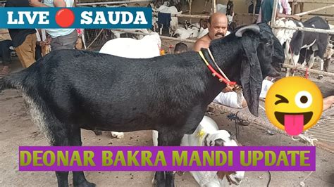 Deonar Bakra Mandi Mein Live Sauda Bahut Maja Aaya Bakre Baaz Mr