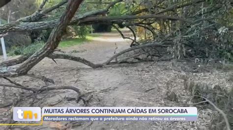 Moradores reclamam de demora na retirada de árvores que caíram durante