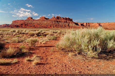 Utah Paysage Désertique à Proximité De Moab Photo Photo