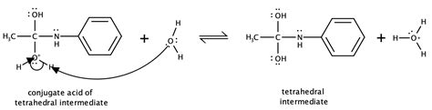 On the basis of the general mechanism for amide hydrolysis i | Quizlet