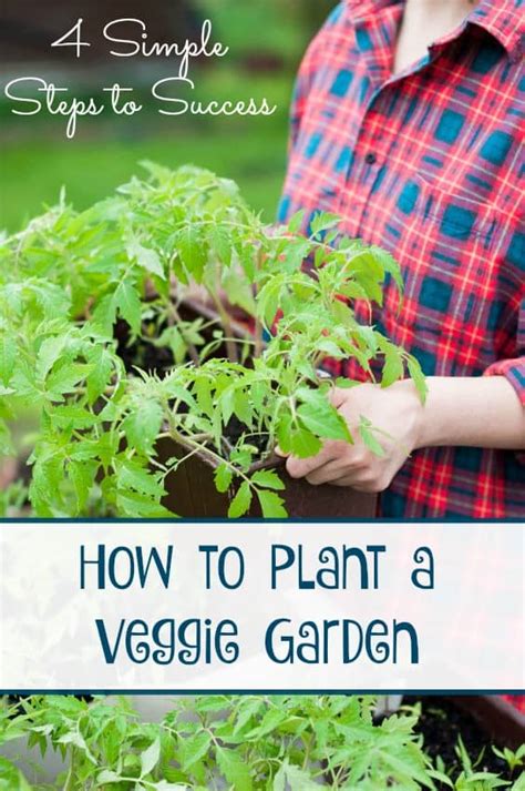 How To Plant A Vegetable Garden Saving Dollars And Sense