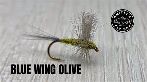 Blue Wing Olive Blue Winged Olive Fly Tying Patterns Fly Fishing