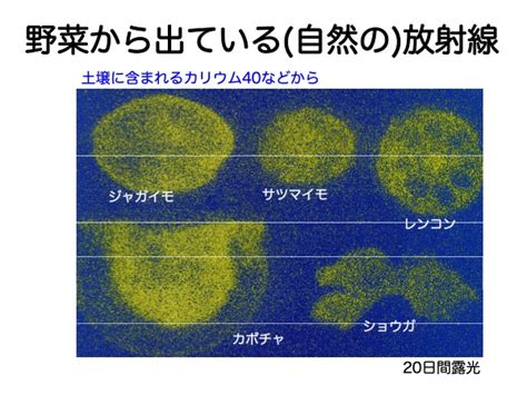 放射線の基礎知識 北陸原子力懇談会（ほくげんこん）