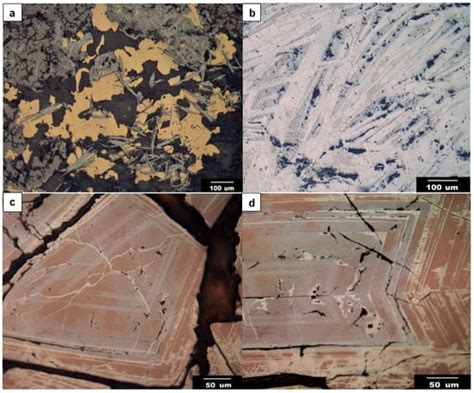 Minerals Special Issue Iron Oxide Copper Gold Iocg Deposits