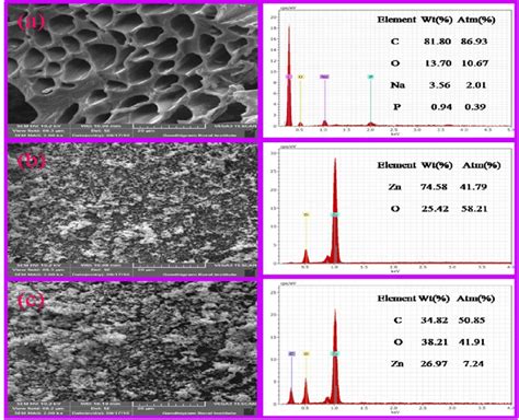 SEM EDX Images Of A CSAC B ZnO And C ZnO CSAC 60 The SEM Images