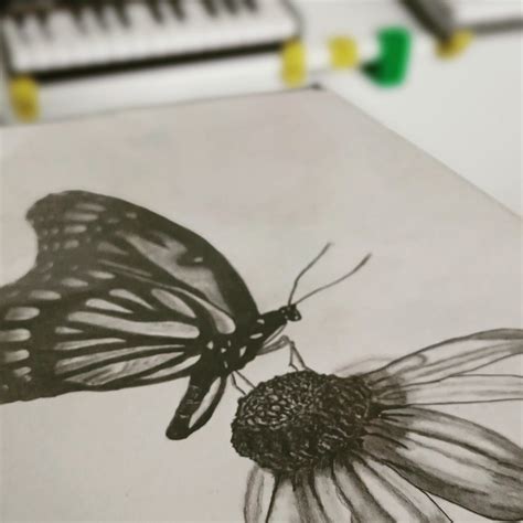 Sketch of Butterfly on Flower | Artist Forum