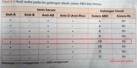 Tabel Penggolongan Darah Sistem Abo