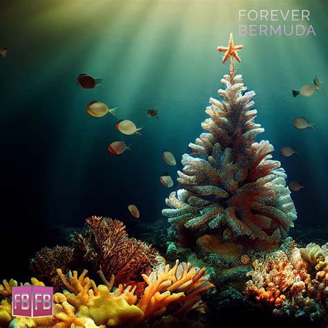 Virtual Art Photo Gallery Christmas Coral Reefs Forever Bermuda