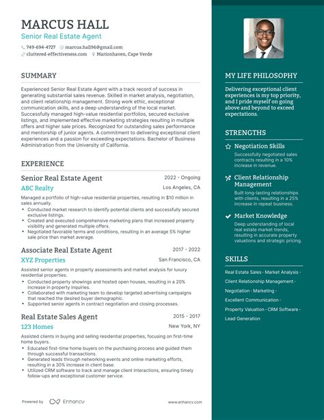 Senior Real Estate Agent Resume Examples How To Guide For