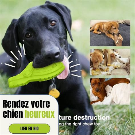 Ruxan Jouet M Cher Indestructible Pour Chien R Sistant Jouet Chien