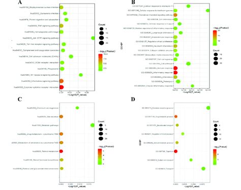 KEGG Pathway Enrichment Analysis And GO Analysis Of Up Regulated And