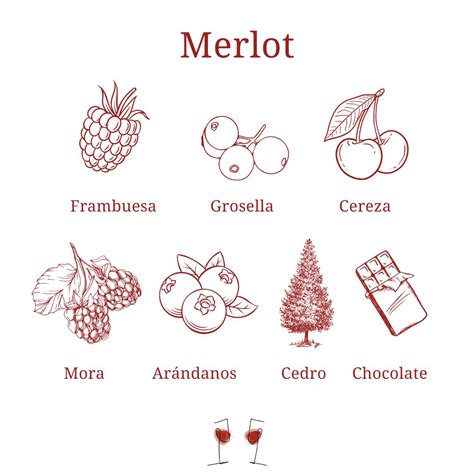 Merlot Su Origen Etimilogía Características Y Aromas Vinálogos