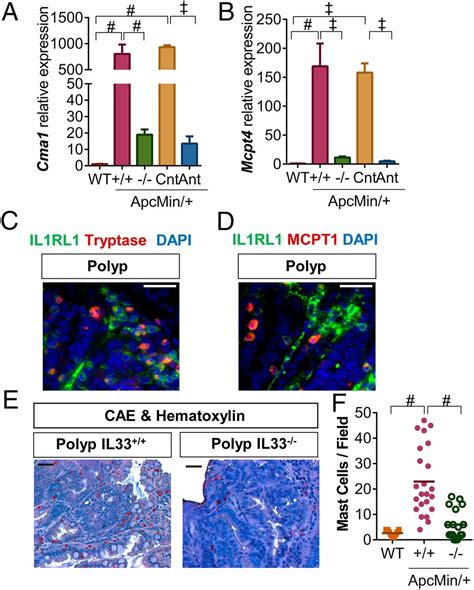 Il Activates Tumor Stroma To Promote Intestinal Polyposis Pnas