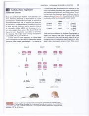 Chapter 4 Figures Epistasis examples and problem.pdf - | Course Hero