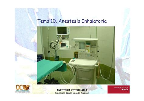 Anestesia Inhalatoria Vetery Books Udocz