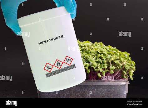 Nematicides Pesticides Plant Parasitic Nematodes Control Stock Photo