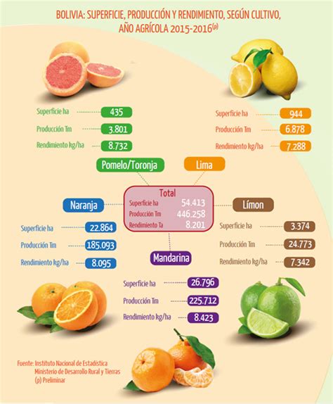 Mandarina Y Naranja Principales Cultivos Cítricos En Bolivia Ine