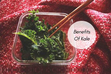 Benefits Of Kale: From Weight Loss To Stronger Immunity