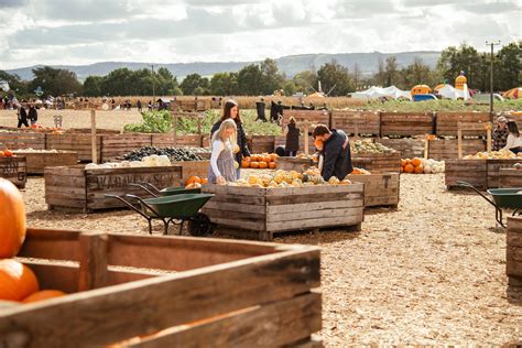 Faqs Rogate Pumpkin Patch