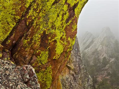 Rock Formations Seen Beyond Lichen Covered Rocks On The First Flatiron